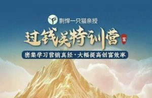 剽悍一只猫-过钱关特训营，学习营销真经 大幅度提高创富效率-副业网创