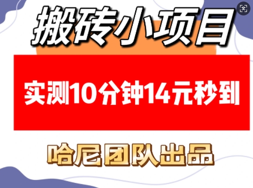 搬砖小项目，实测10分钟14元秒到，每天稳定几张(赠送必看稳定)-副业网创