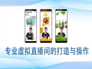 个人虚拟直播间的搭建与操作，专业虚拟直播间的打造与操作-副业网创