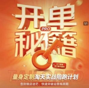 淘宝开单秘籍PRO,量身定制淘天实战陪跑计划,告别做店迷茫、快速突破运营瓶颈期-副业网创