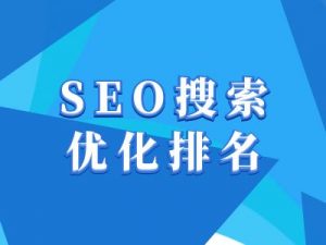 抖音搜索SEO教程，抖音SEO搜索优化排名-副业网创