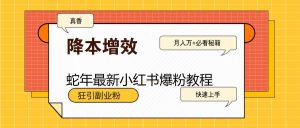 蛇年最新小红书爆粉教程，狂引副业粉，月入万+必看-副业网创