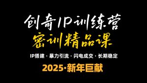 2025年“知识付费IP训练营”小白避坑年赚百万,暴力引流,闪电成交-副业网创