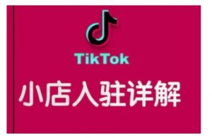 TikTok跨境小店运营全攻略，帮助你独立运营TK跨境小店的能力，实现销量增长-副业网创