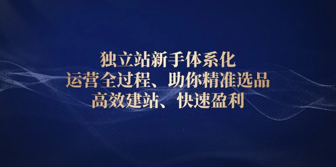 独立站新手体系化 运营全过程，助你精准选品、高效建站、快速盈利-副业网创