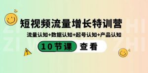 短视频流量增长特训营:流量认知+数据认知+起号认知+产品认知(10节课)-副业网创