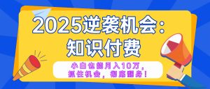 2025逆袭项目——知识付费，小白也能月入10万年入百万，抓住机会彻底翻...-副业网创