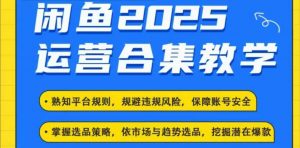 2025闲鱼电商运营全集,2025最新咸鱼玩法-副业网创