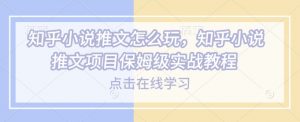 知乎小说推文怎么玩，知乎小说推文项目保姆级实战教程-副业网创
