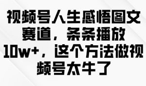 视频号人生感悟图文赛道,条条播放10w+,这个方法做视频号太牛了-副业网创