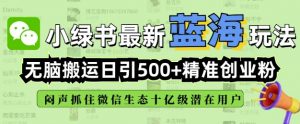 小绿书无脑搬运引流，全自动日引500精准创业粉，微信生态内又一个闷声发财的机会-副业网创