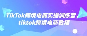 TikTok跨境电商实操训练营，tiktok跨境电商教程-副业网创