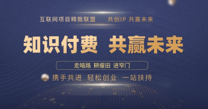 别人苦寻无果，为何他们靠知识付费卖项目 2025 年轻松年入100个?【揭秘】-副业网创