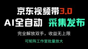 京东视频带货3.0，Ai全自动采集＋自动发布，完全解放双手，收入无上限...-副业网创