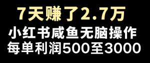全网首发，7天赚了2.6万，2025利润超级高！-副业网创