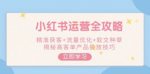 小红书运营全攻略，精准获客+流量优化+软文种草，揭秘高客单产品投放技巧-副业网创