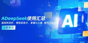 DeepSeek使用汇总,基础到进阶,提示词技巧,掌握AI工具 提升工作效率-副业网创