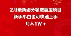 2月最新细分领域落地项目,新手小白也可快速上手,月入1W-副业网创