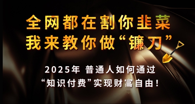 全网都在割你韭菜，我来教你做镰刀，2025年普通人如何通过 知识付费 实现财F自由【揭秘】-副业网创