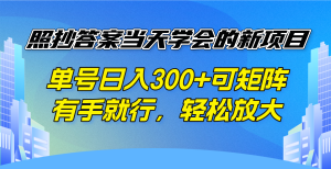 照抄答案当天学会的新项目,单号日入300 +可矩阵,有手就行,轻松放大-副业网创
