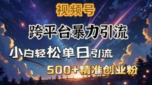 跨平台暴力引流，私域完美闭环，日引500+精准创业粉-副业网创