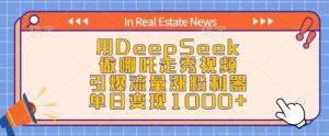 用DeepSeek做哪吒走秀视频，引爆流量涨粉利器，单日变现1k-副业网创