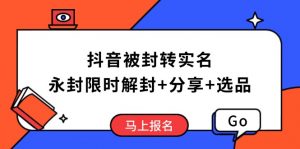 抖音被封转实名攻略，永久封禁也能限时解封，分享解封后高效选品技巧-副业网创