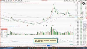 大师兄·鹿鼎山系列内部课程(更新2025年1月)-副业网创