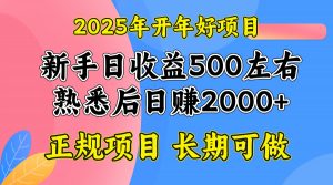 2025开年好项目,单号日收益2000左右-副业网创
