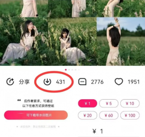 最新图虫搬运项目，收益无上限，利用AI小白也可日赚500+-副业网创