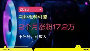 2025AI短视频引流，2个月涨粉17.2万，不死号，可放大-副业网创