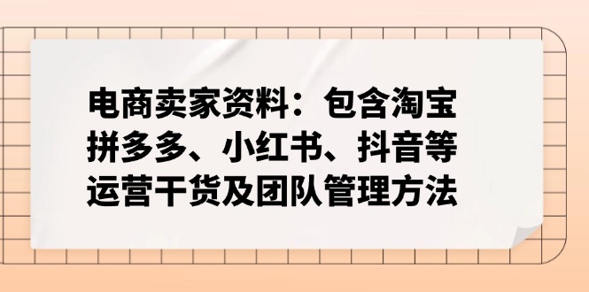 电商卖家资料：包含淘宝、拼多多、小红书、抖音等运营干货及团队管理方法-副业网创