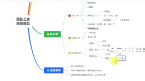 苏博士·淘宝精细化铺货运营陪跑(部分更新至2025)-副业网创