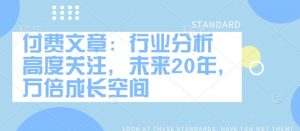 付费文章：行业分析 高度关注，未来20年，万倍成长空间-副业网创