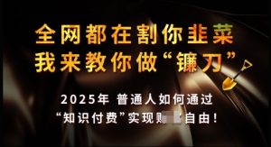 知识付费如何做到月入过W+，2025我来教你做“镰刀”【揭秘】-副业网创