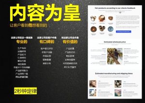 刘老师·外贸询盘增长秘籍从0到1的实战指南-副业网创
