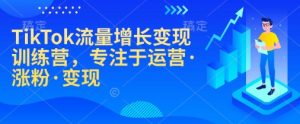 TikTok流量增长变现训练营,专注于运营·涨粉·变现-副业网创