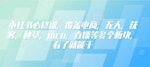 小红书必修课,覆盖电商,无人,获客,种草,mcn,直播等多个板块,看了就能干-副业网创