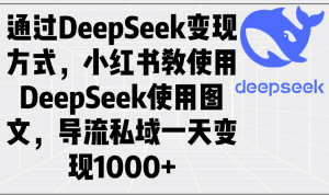 通过DeepSeek变现方式，小红书教使用DeepSeek图文，导流私域一天变现1000+-副业网创