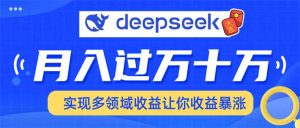 用DeepSeek席卷各大平台，快速上手实现多领域，让你收入猛增-副业网创