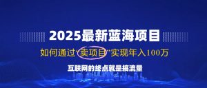 2025最新蓝海项目，零门槛轻松复制，月入10万+，新手也能操作！-副业网创