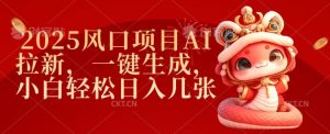 2025风口项目AI拉新，一键生成，小白轻松日入几张-副业网创