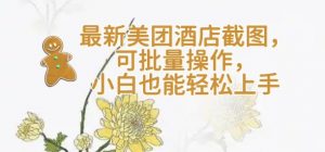 【轻云】最新美团酒店截图，可批量操作，小白也能轻松上手-副业网创