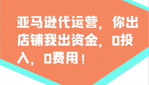 亚马逊代运营，你出店铺我出资金，0投入，0费用，无责任每天300分红，赢亏我承担-副业网创