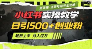 2月小红书最新日引500+创业粉实操教学【超详细】小白轻松上手，月入1W+，附小红书养号起号SOP-副业网创