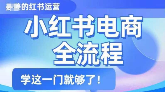 小红书电商全流程，精简易懂，从入门到精通，学这一门就够了-副业网创
