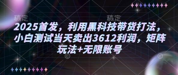 2025首发，利用黑科技带货打法，小白测试当天卖出3612利润，矩阵玩法+无限账号【揭秘】-副业网创