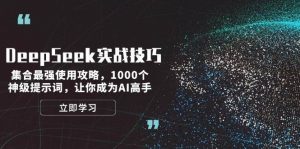 DeepSeek实战技巧:集合最强使用攻略,1000个神级提示词,让你成为AI高手-副业网创