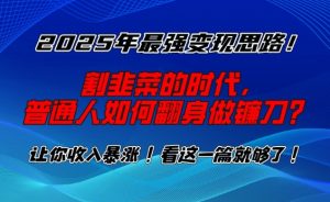 2025年最强变现思路，割韭菜的时代， 普通人如何翻身做镰刀？【揭秘】-副业网创