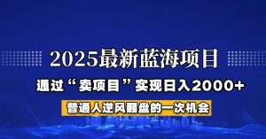 2025年蓝海项目,如何通过“网创项目”日入2000+-副业网创